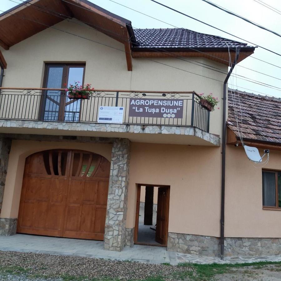 La Tusa Dusa Ocolisu Mic Екстериор снимка